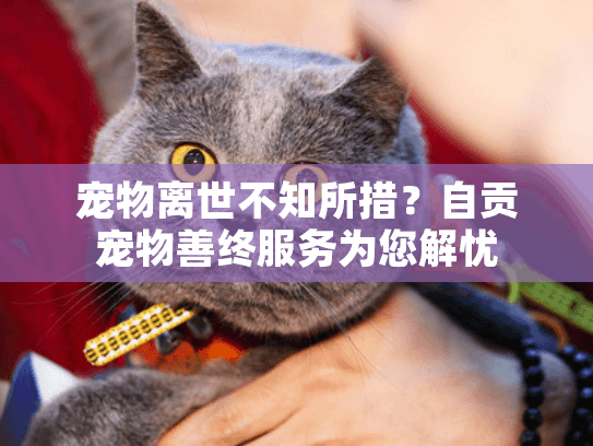 宠物离世不知所措？自贡宠物善终服务为您解忧