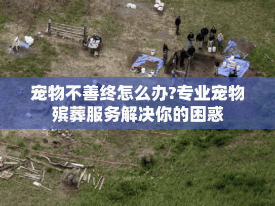宠物不善终怎么办?专业宠物殡葬服务解决你的困惑