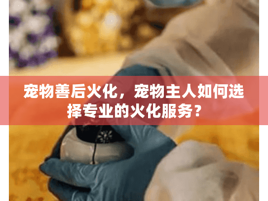 宠物善后火化，宠物主人如何选择专业的火化服务？