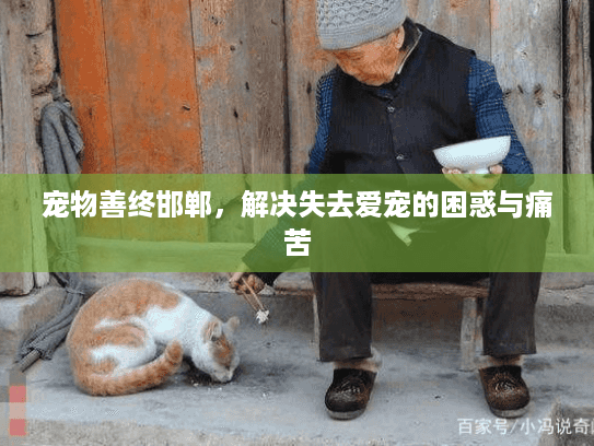 宠物善终邯郸，解决失去爱宠的困惑与痛苦