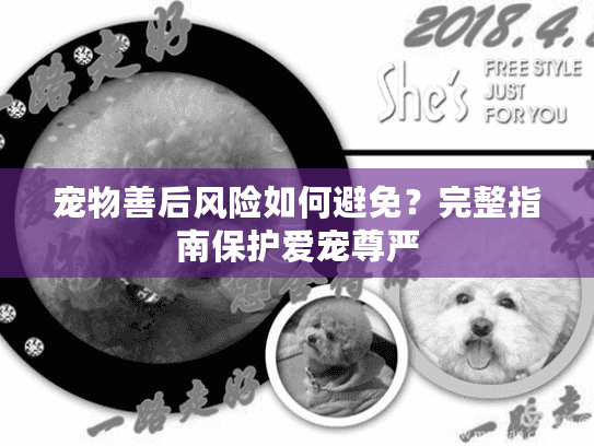 宠物善后风险如何避免？完整指南保护爱宠尊严