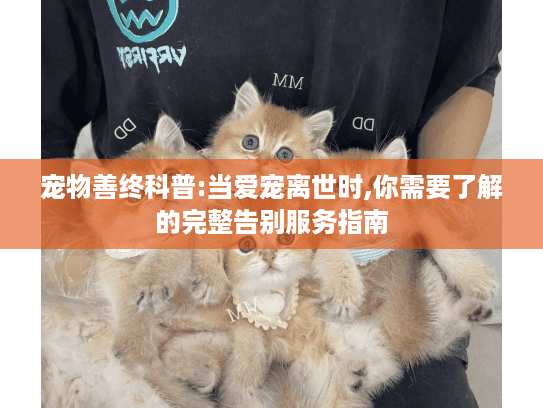 宠物善终科普:当爱宠离世时,你需要了解的完整告别服务指南