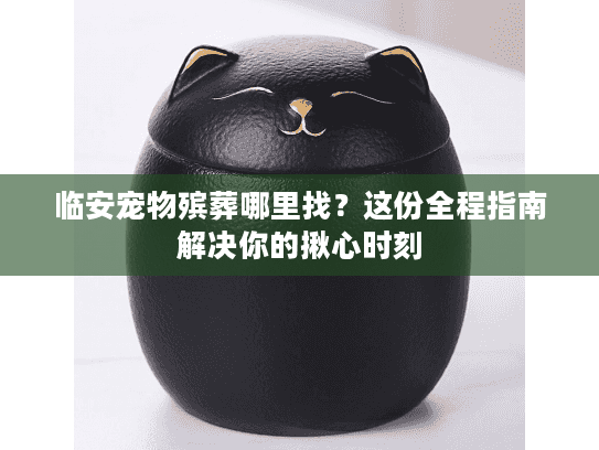 临安宠物殡葬哪里找？这份全程指南解决你的揪心时刻