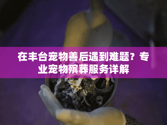 在丰台宠物善后遇到难题？专业宠物殡葬服务详解