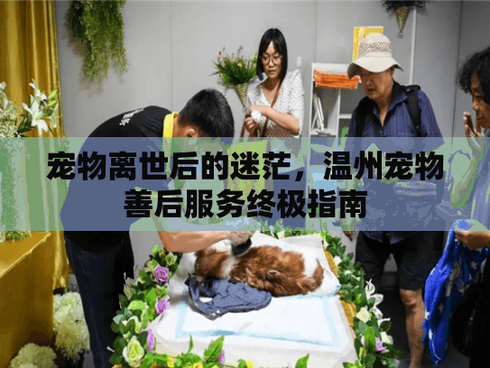 宠物离世后的迷茫，温州宠物善后服务终极指南