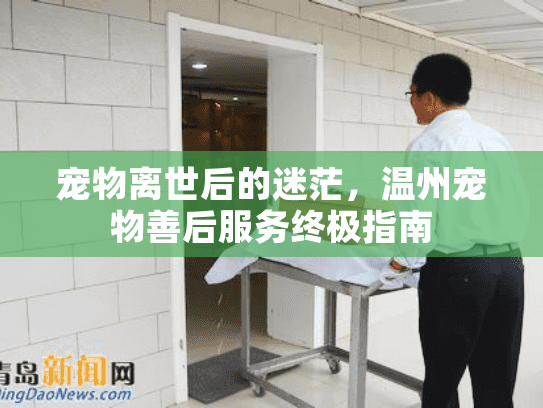 宠物离世后的迷茫，温州宠物善后服务终极指南