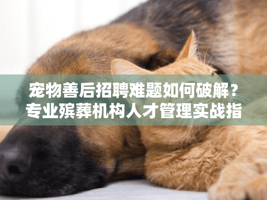 宠物善后招聘难题如何破解？专业殡葬机构人才管理实战指南