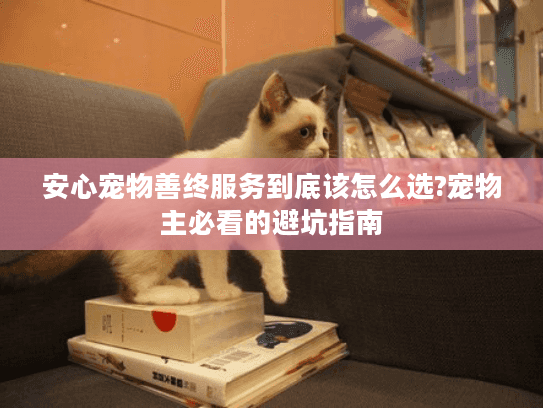 安心宠物善终服务到底该怎么选?宠物主必看的避坑指南