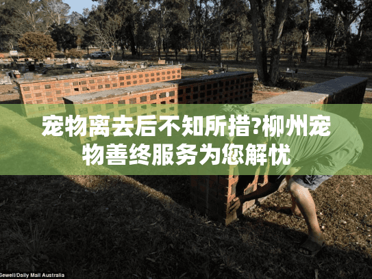 宠物离去后不知所措?柳州宠物善终服务为您解忧