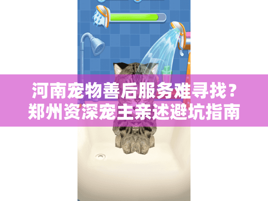 河南宠物善后服务难寻找？郑州资深宠主亲述避坑指南