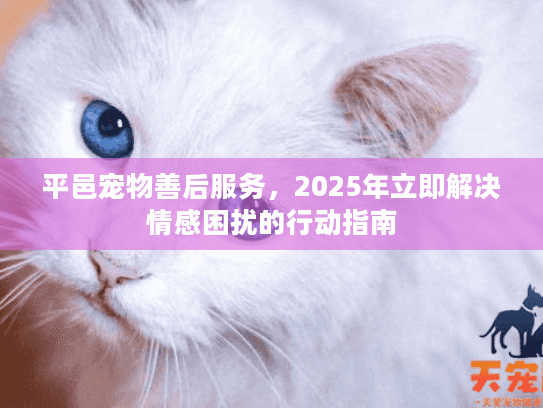 平邑宠物善后服务，2025年立即解决情感困扰的行动指南