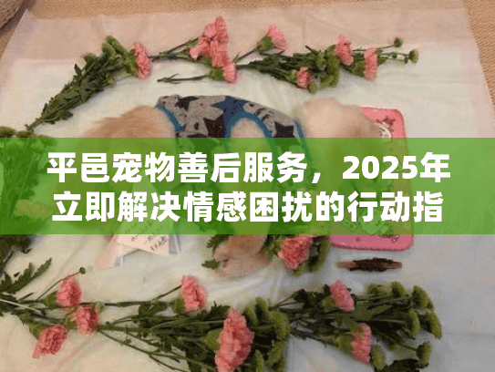 平邑宠物善后服务，2025年立即解决情感困扰的行动指南