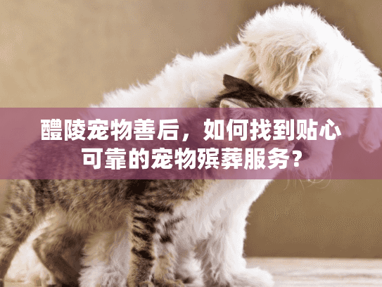 醴陵宠物善后，如何找到贴心可靠的宠物殡葬服务？