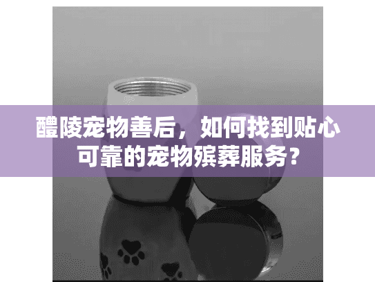 醴陵宠物善后，如何找到贴心可靠的宠物殡葬服务？