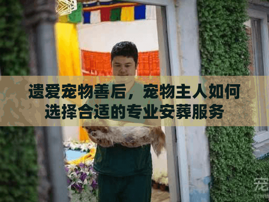 遗爱宠物善后，宠物主人如何选择合适的专业安葬服务