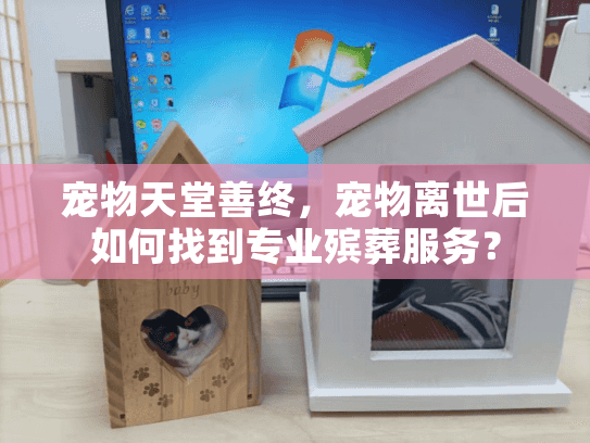 宠物天堂善终，宠物离世后如何找到专业殡葬服务？
