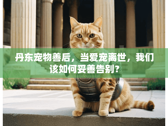 丹东宠物善后，当爱宠离世，我们该如何妥善告别？