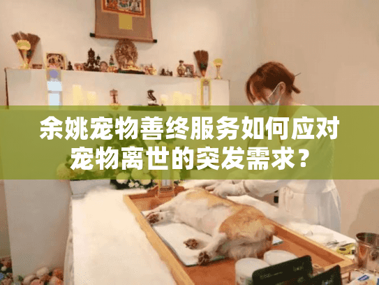 余姚宠物善终服务如何应对宠物离世的突发需求？