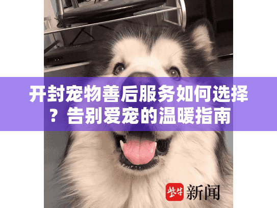 开封宠物善后服务如何选择？告别爱宠的温暖指南