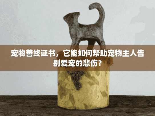宠物善终证书，它能如何帮助宠物主人告别爱宠的悲伤？