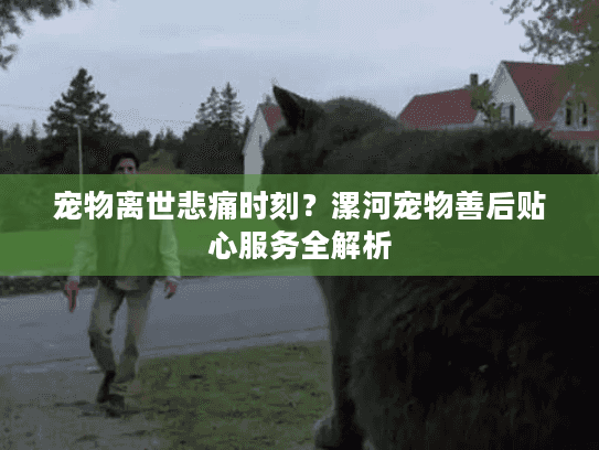 宠物离世悲痛时刻？漯河宠物善后贴心服务全解析