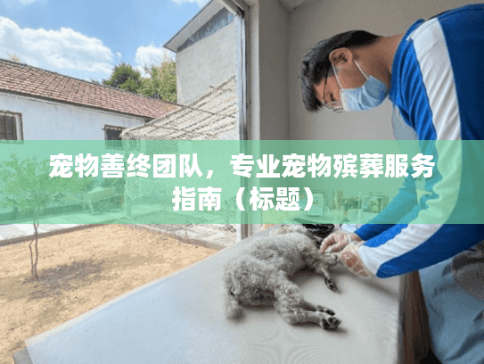 宠物善终团队，专业宠物殡葬服务指南（标题）