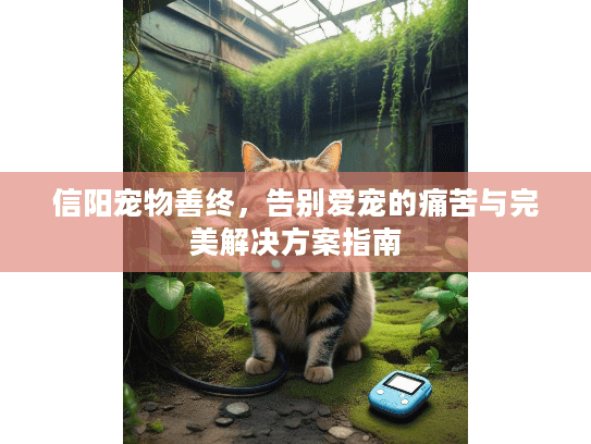 信阳宠物善终，告别爱宠的痛苦与完美解决方案指南