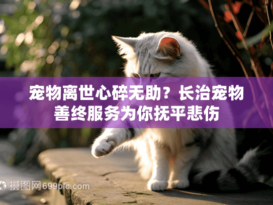 宠物离世心碎无助？长治宠物善终服务为你抚平悲伤