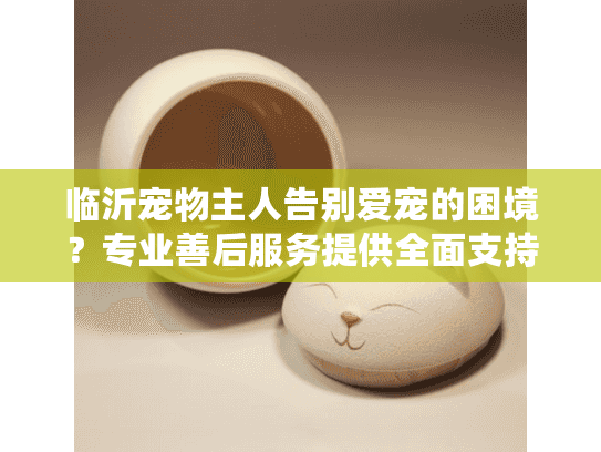临沂宠物主人告别爱宠的困境？专业善后服务提供全面支持