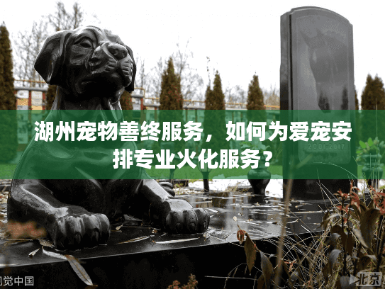 湖州宠物善终服务，如何为爱宠安排专业火化服务？