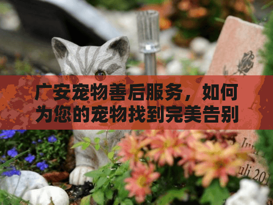 广安宠物善后服务，如何为您的宠物找到完美告别方式？