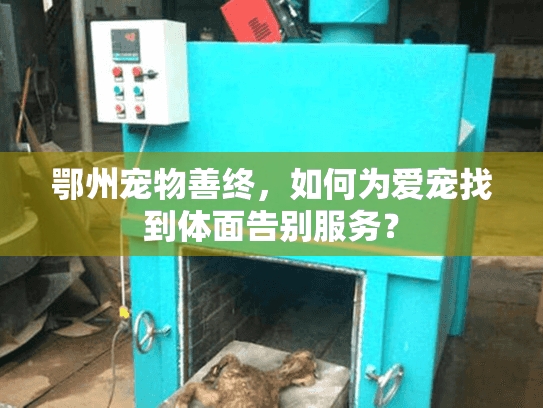 鄂州宠物善终，如何为爱宠找到体面告别服务？