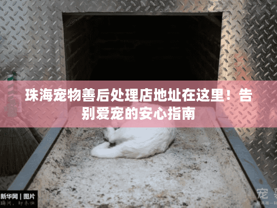 珠海宠物善后处理店地址在这里！告别爱宠的安心指南