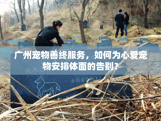 广州宠物善终服务，如何为心爱宠物安排体面的告别？