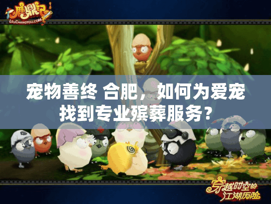 宠物善终 合肥，如何为爱宠找到专业殡葬服务？