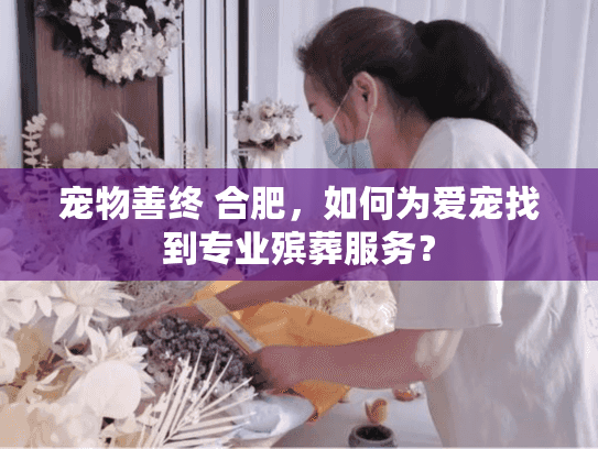 宠物善终 合肥，如何为爱宠找到专业殡葬服务？