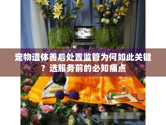 宠物遗体善后处置监管为何如此关键？选服务前的必知痛点
