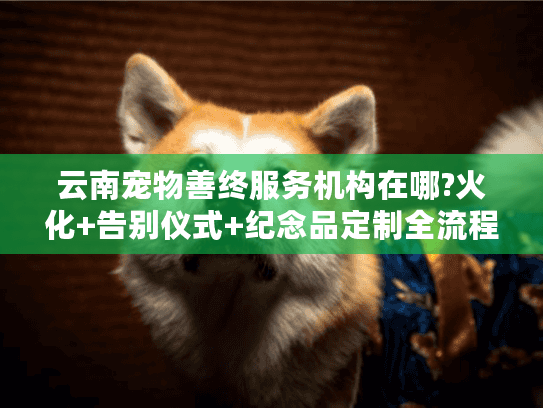 云南宠物善终服务机构在哪?火化+告别仪式+纪念品定制全流程指南