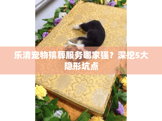 乐清宠物殡葬服务哪家强？深挖5大隐形坑点
