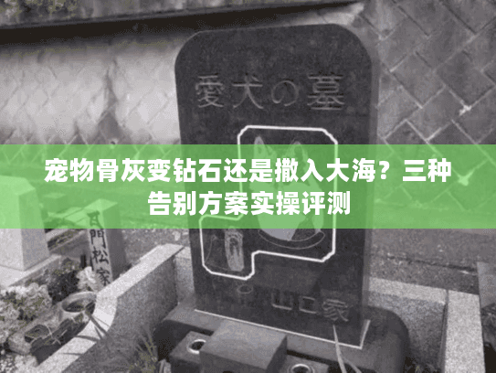 宠物骨灰变钻石还是撒入大海？三种告别方案实操评测