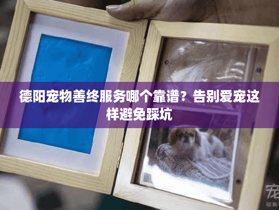 德阳宠物善终服务哪个靠谱？告别爱宠这样避免踩坑