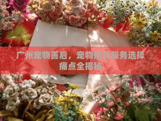 广州宠物善后，宠物殡葬服务选择痛点全揭秘