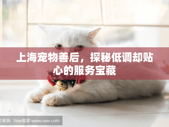 上海宠物善后，探秘低调却贴心的服务宝藏