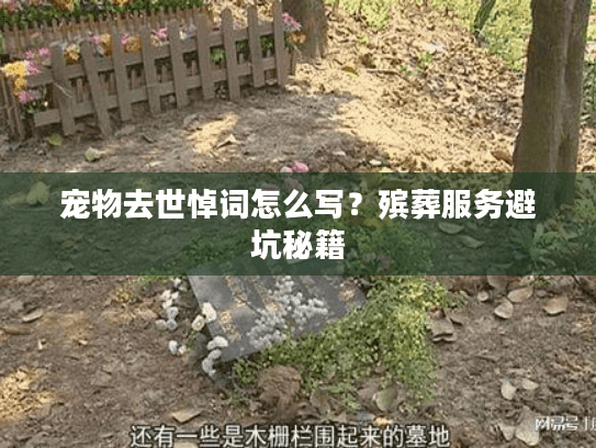 宠物去世悼词怎么写？殡葬服务避坑秘籍