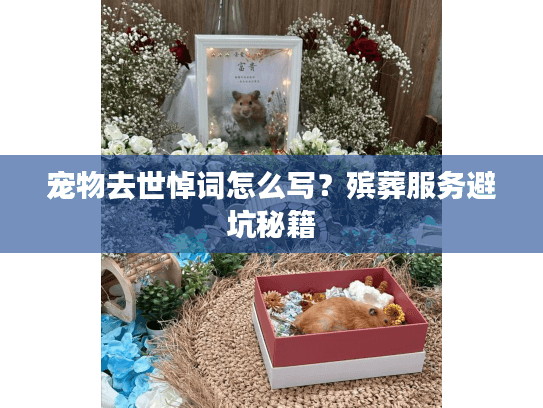 宠物去世悼词怎么写？殡葬服务避坑秘籍