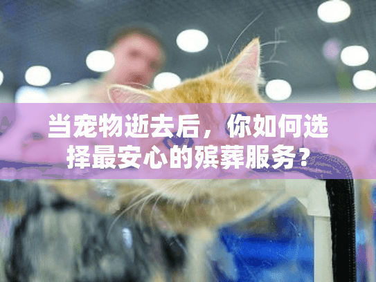 当宠物逝去后，你如何选择最安心的殡葬服务？