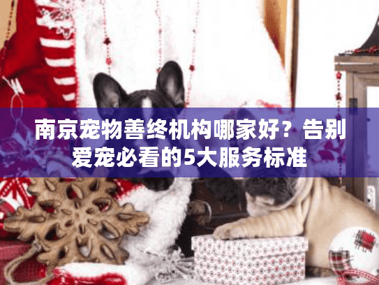 南京宠物善终机构哪家好？告别爱宠必看的5大服务标准