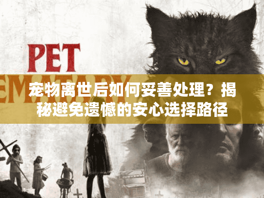 宠物离世后如何妥善处理?揭秘避免遗憾的安心选择路径 宠物离世后如何妥善处理?揭秘避免遗憾的安心选择路径