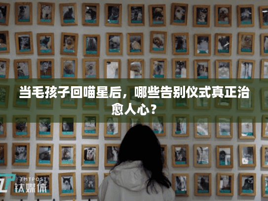 当毛孩子回喵星后，哪些告别仪式真正治愈人心？