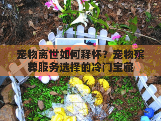 宠物离世如何释怀？宠物殡葬服务选择的冷门宝藏